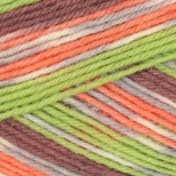 Regia 4 Ply Color -Textile Shop 416x416 2327