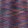 Valley Yarns Variegated 8/2 Tencel -Textile Shop 416x416 2444